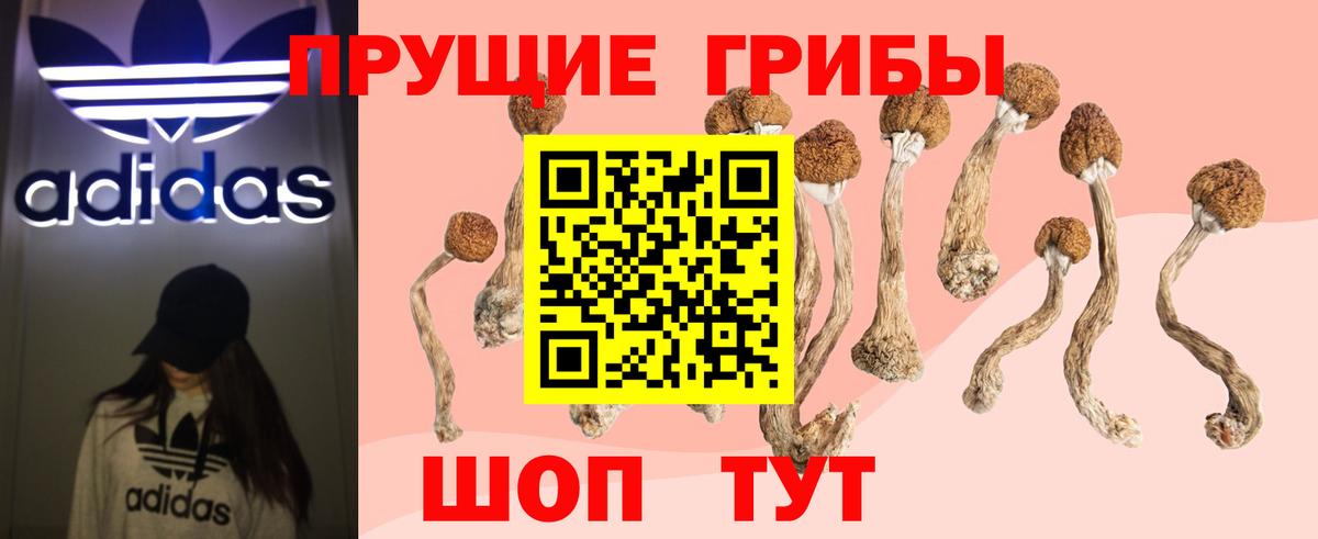 Галлюциногенные грибы Magic Shrooms Жигулёвск